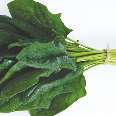 Improved Spinach Improved Spinach