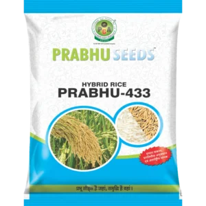 Hybrid Rice Prabhu-433 Hybrid Rice Prabhu-433
