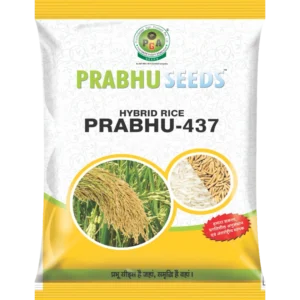 Hybrid Rice Prabhu-437 Hybrid Rice Prabhu-437