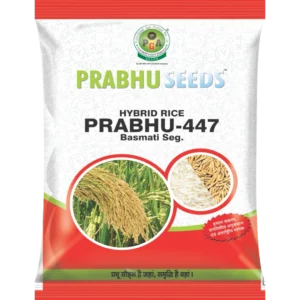 Hybrid Rice Prabhu-447 Hybrid Rice Prabhu-447