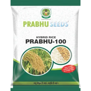 18 Hybrid Rice Prabhu-100