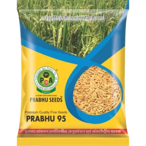 Prabhu-95