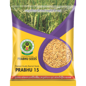 Prabhu-15
