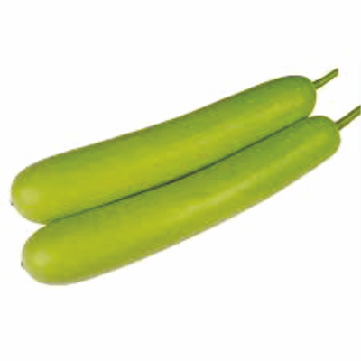 Hybrid Bottle Gourd Hybrid Bottle Gourd