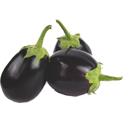 Hybrid Brinjal Hybrid Brinjal