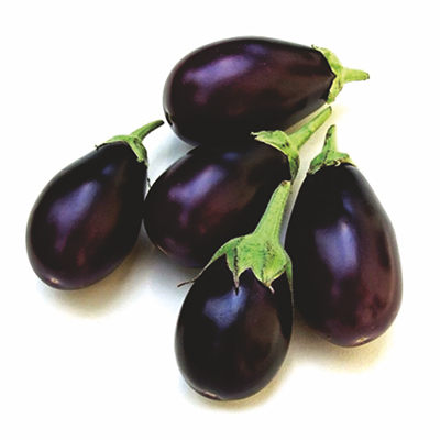 Hybrid Brinjal Hybrid Brinjal