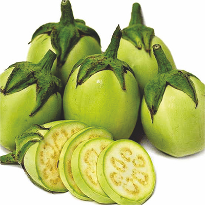 Hybrid Brinjal Hybrid Brinjal