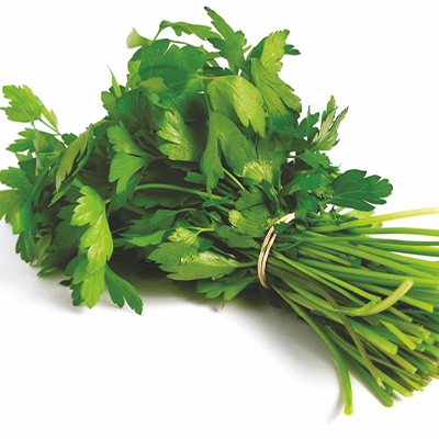 Imported Coriander Imported Coriander