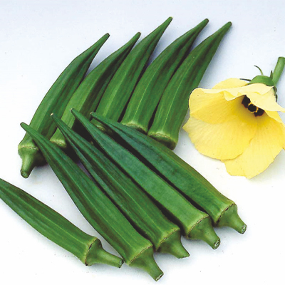 Hybrid Okra Hybrid Okra