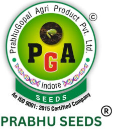 Prabhu Seeds